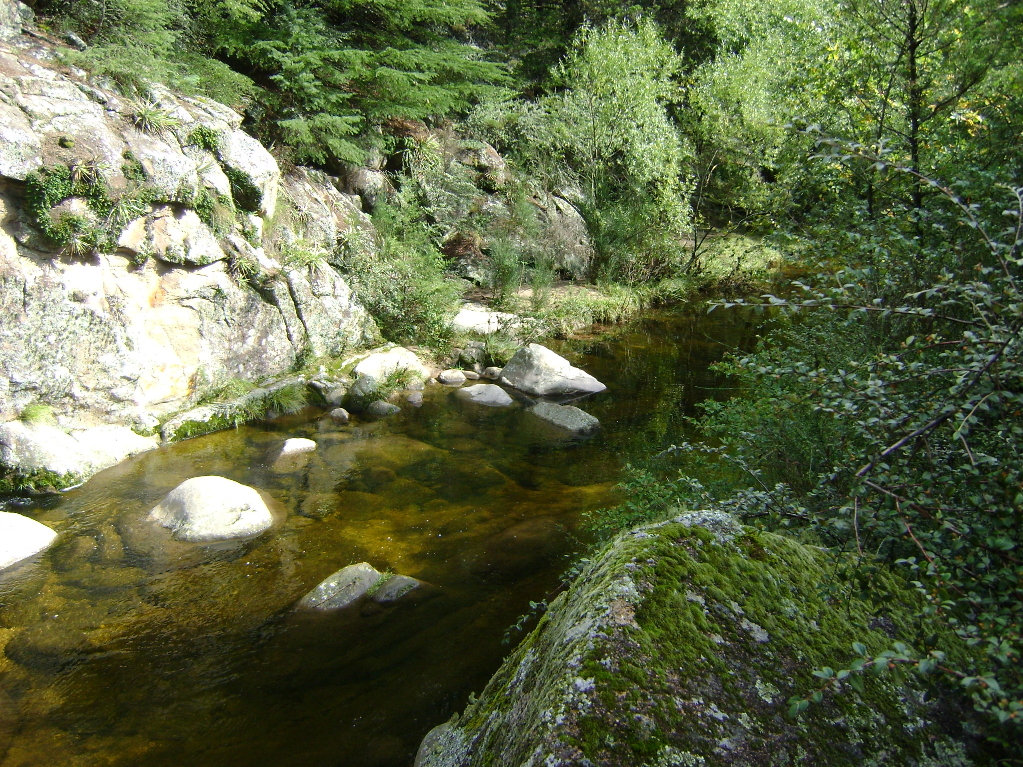 fotos/2011 - Los Reartes/DSC03388.JPG